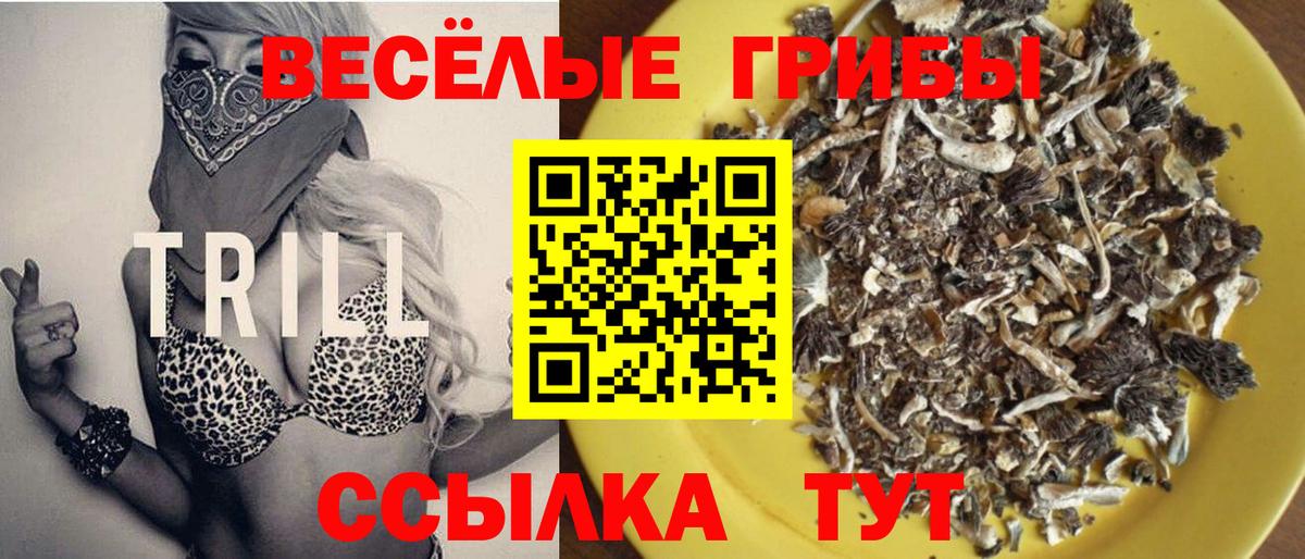 магазин продажи   Вход с VPN  Кубинка  Галлюциногенные грибы Psilocybine cubensis 